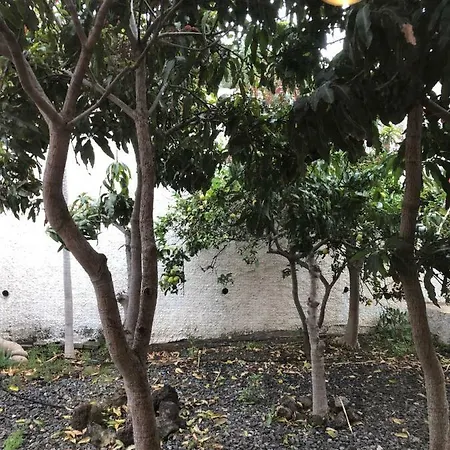 La Cepa *