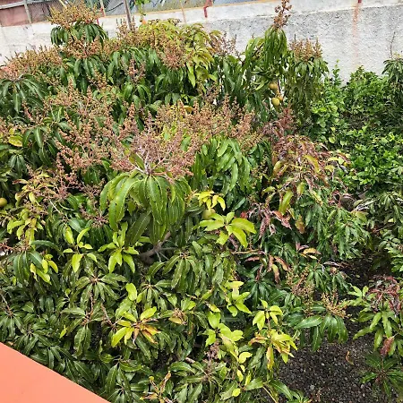 La Cepa Las Palmas de Gran Canárias