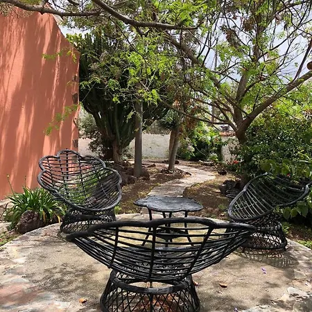La Cepa Las Palmas de Gran Canárias