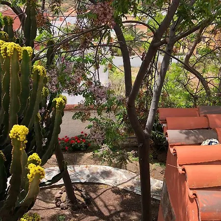 La Cepa