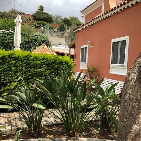 La Cepa Las Palmas de Gran Canárias